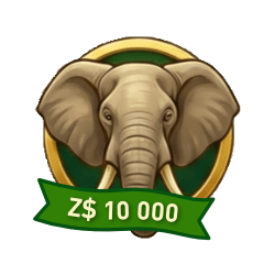 Z$ 10000